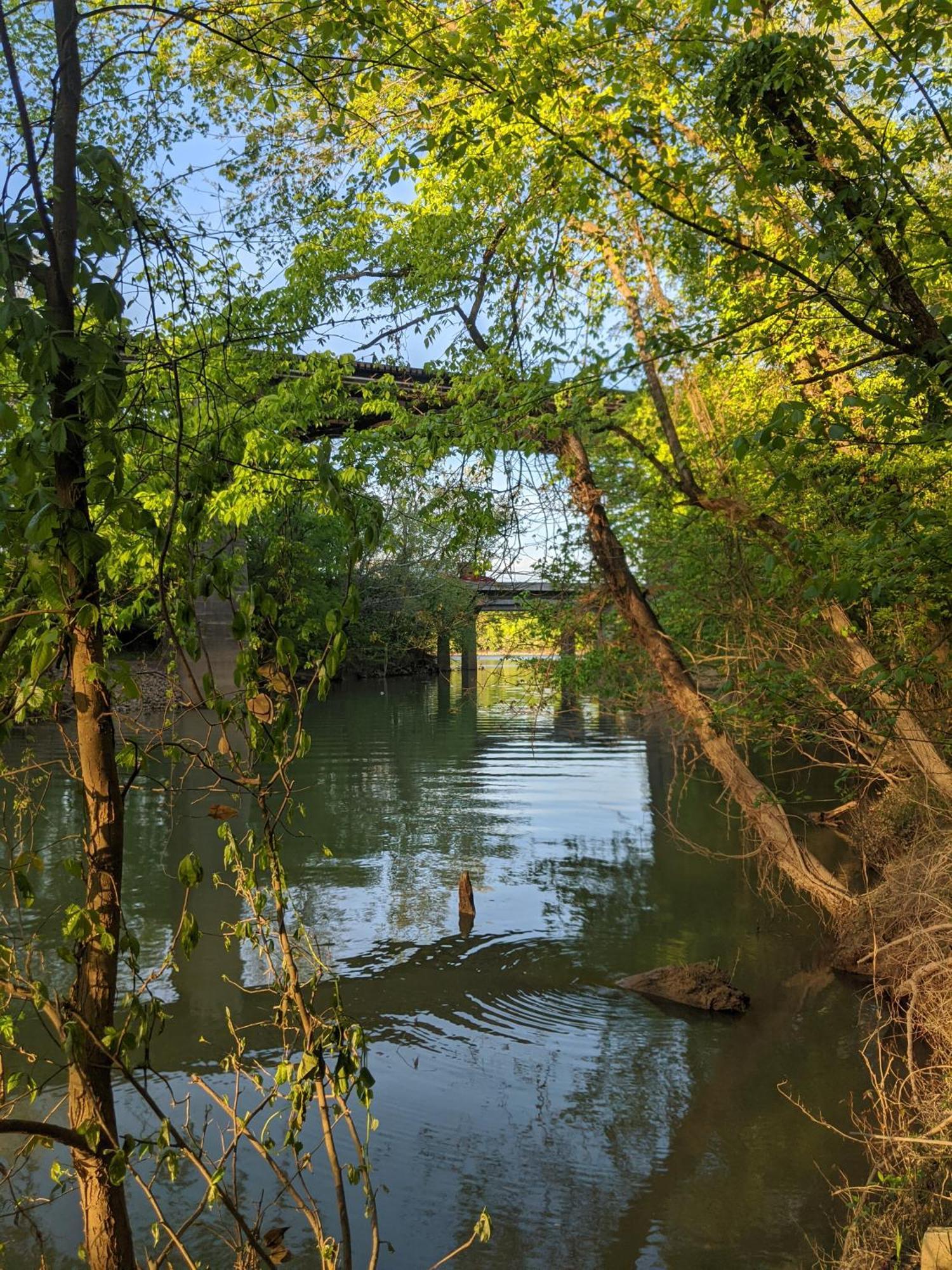River Cabin Hot Tub & Swim Spa Near Downtown Chattanooga Luaran gambar